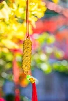 bảo mật Sodo